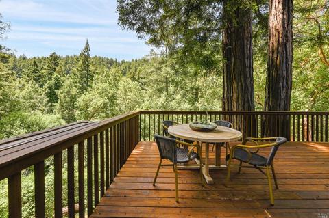 27 Spring Rd, Lagunitas, CA 94938 photo 25