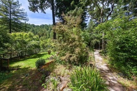 27 Spring Rd, Lagunitas, CA 94938 photo 40