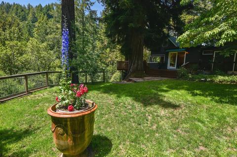 27 Spring Rd, Lagunitas, CA 94938 photo 39