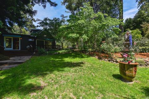 27 Spring Rd, Lagunitas, CA 94938 photo 43