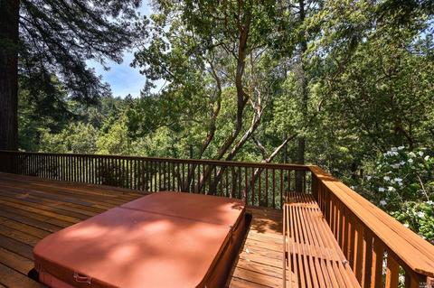 27 Spring Rd, Lagunitas, CA 94938 photo 33