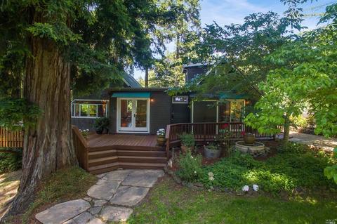 27 Spring Rd, Lagunitas, CA 94938 photo 44