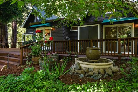 27 Spring Rd, Lagunitas, CA 94938 photo 28