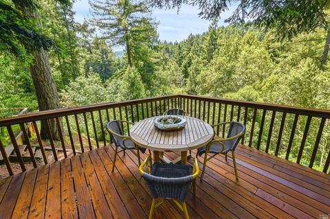 27 Spring Rd, Lagunitas, CA 94938 photo 27