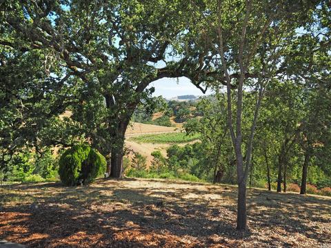 23550 Vineyard Rd, Geyserville, CA 95441 photo 45