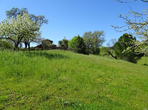 23550 Vineyard Rd, Geyserville, CA 95441 photo 32