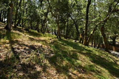 10116 Brooks Rd, Windsor, CA 95492 photo 38