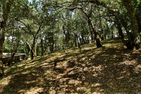 10116 Brooks Rd, Windsor, CA 95492 photo 29