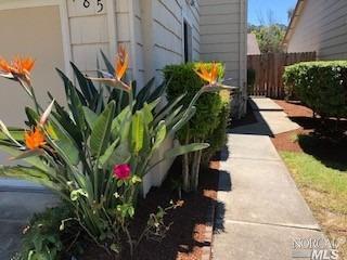 185 Hidden Trail Ln, Vallejo, CA 94591 photo 3