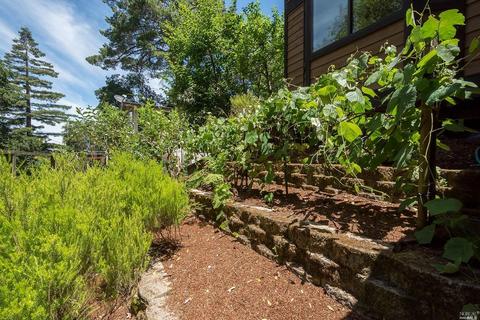 3 Lower Ln, Corte Madera, CA 94925 photo 28