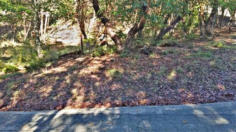 25998 Poppy Pl, Willits, CA 95490 photo 1