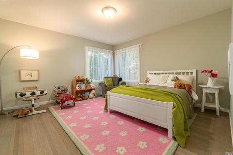 56 Shell Rd, Mill Valley, CA 94941 photo 40