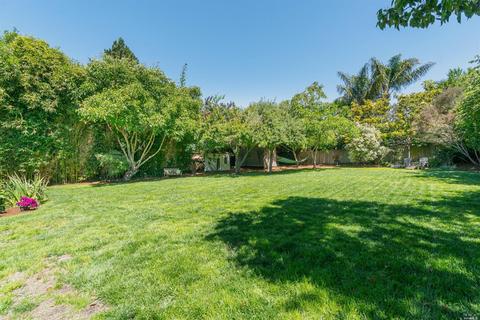 56 Shell Rd, Mill Valley, CA 94941 photo 22