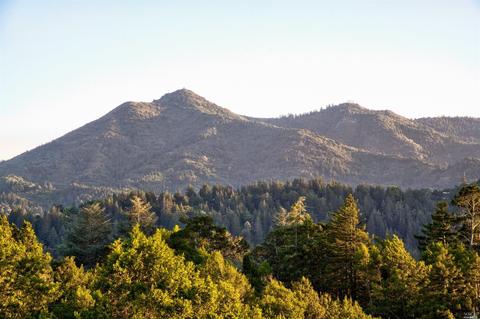 2 Crest Rd, Ross, CA 94957 photo 4