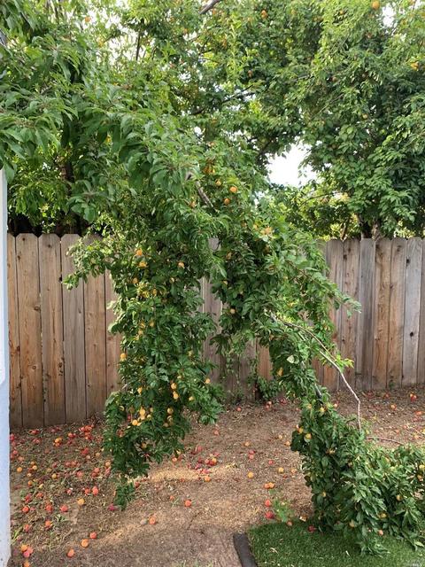 1312 E Taft St, Fairfield, CA 94533 photo 16
