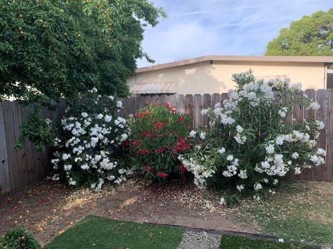 1312 E Taft St, Fairfield, CA 94533 photo 15