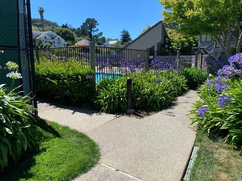 114 Cypress Pl, Sausalito, CA 94965 photo 22