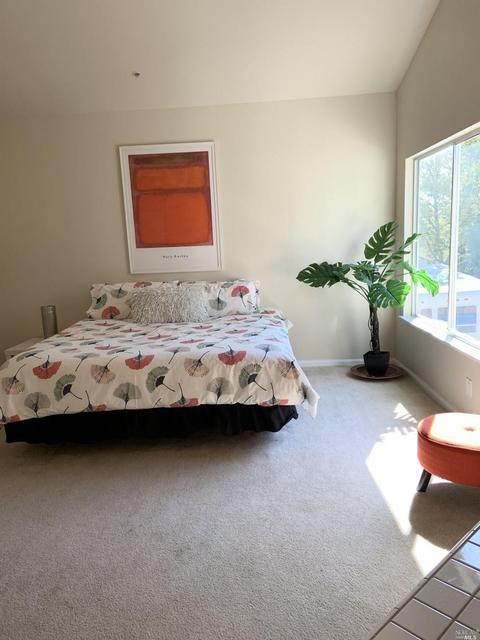 6 White Tail Dr, Napa, CA 94558 photo 23