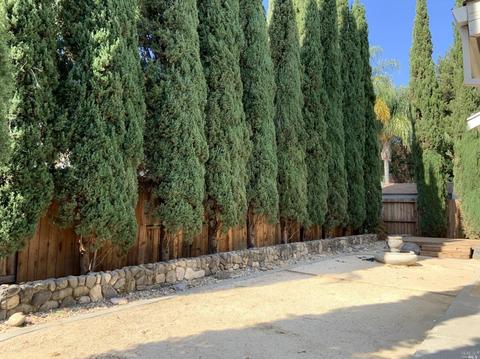 6 White Tail Dr, Napa, CA 94558 photo 31