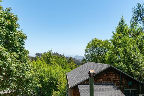 40 Castle Rock Dr, Mill Valley, CA 94941 photo 30