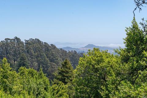 40 Castle Rock Dr, Mill Valley, CA 94941 photo 31