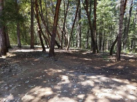 4750 Ridgewood Rd, Willits, CA 95490 photo 14