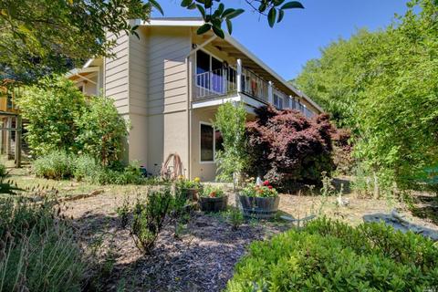 7 Jackson Ct, Novato, CA 94947 photo 20