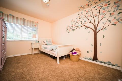 3560 Argyle St, Napa, CA 94558 photo 17