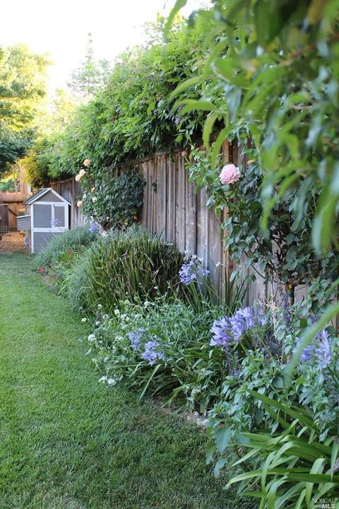 3560 Argyle St, Napa, CA 94558 photo 31