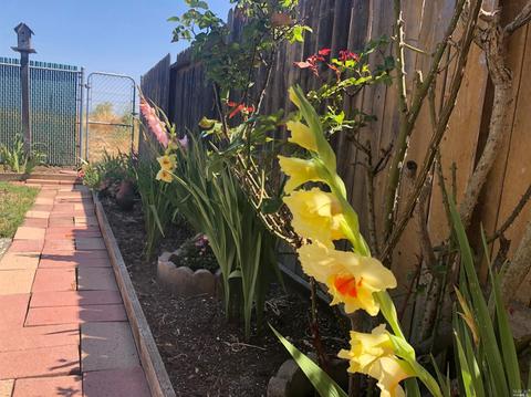 1616 Severus Dr, Vallejo, CA 94589 photo 22