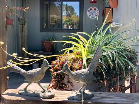 10 Ormond Ct, Novato, CA 94947 photo 30
