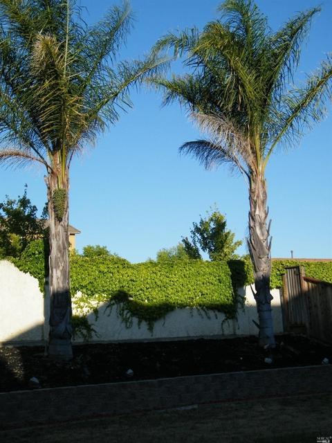 5114 Rowe Dr, Fairfield, CA 94533 photo 25