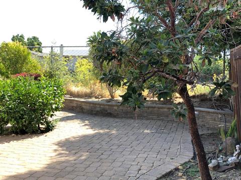 955 Daniel St, Fairfield, CA 94533 photo 29