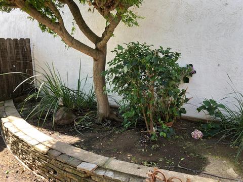 955 Daniel St, Fairfield, CA 94533 photo 4