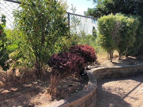 955 Daniel St, Fairfield, CA 94533 photo 31