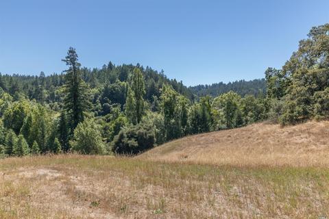3900 Bones Rd, Sebastopol, CA 95472 photo 44