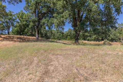3900 Bones Rd, Sebastopol, CA 95472 photo 45