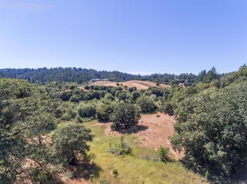 3900 Bones Rd, Sebastopol, CA 95472 photo 49