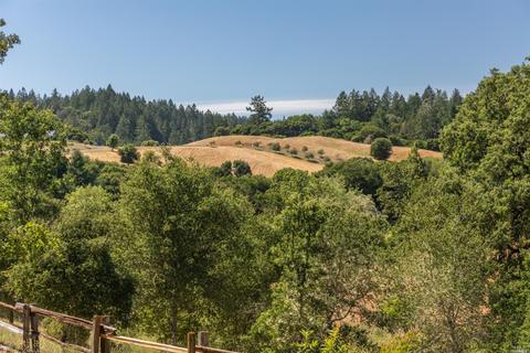 3900 Bones Rd, Sebastopol, CA 95472 photo 46