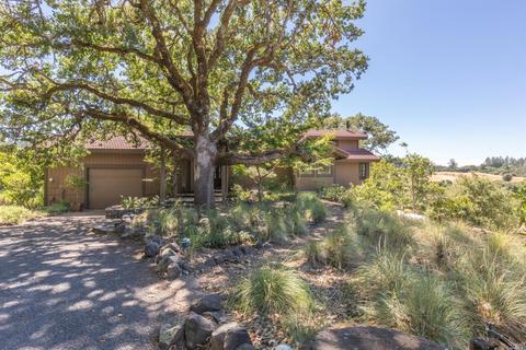 3900 Bones Rd, Sebastopol, CA 95472 photo 1