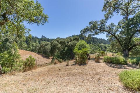 3900 Bones Rd, Sebastopol, CA 95472 photo 43