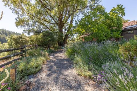 3900 Bones Rd, Sebastopol, CA 95472 photo 36