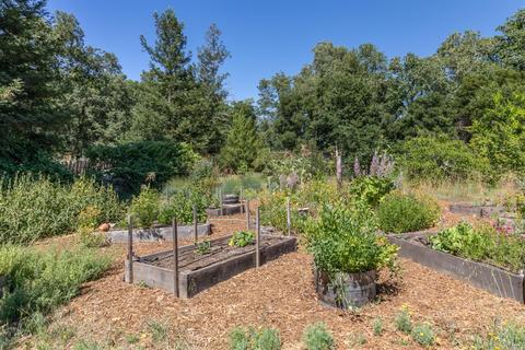 3900 Bones Rd, Sebastopol, CA 95472 photo 38