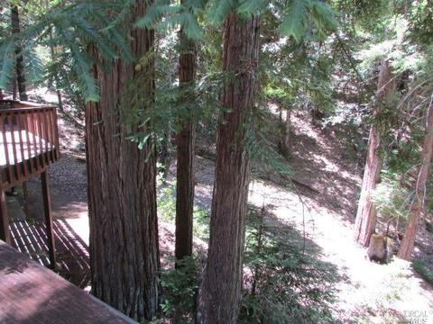 Undisclosed, Willits, CA 95490 photo 12