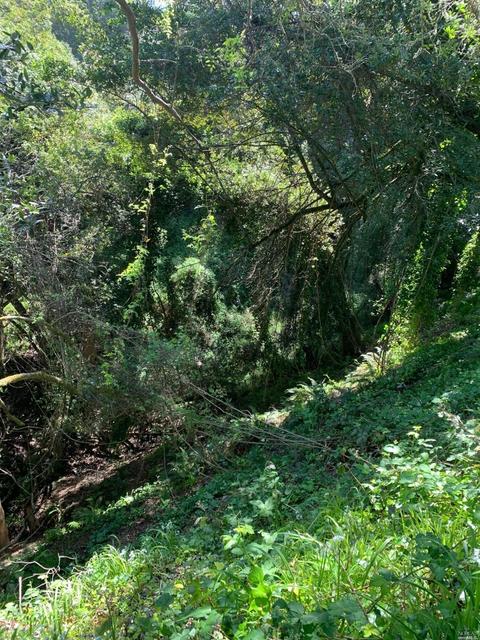 38 Madera Way, Mill Valley, CA 94941 photo 2