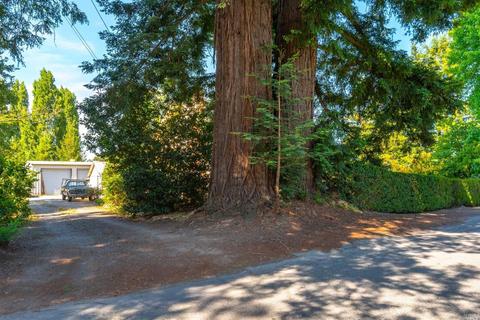 1445 Cooper Rd, Sebastopol, CA 95472 photo 27