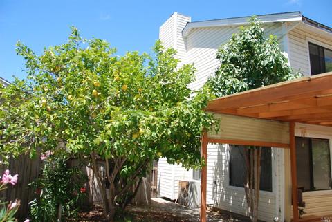 181 Windsurfer Ct, Vallejo, CA 94591 photo 10