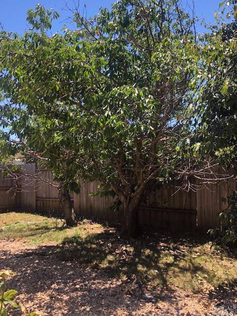2025 Diamond Way, Fairfield, CA 94533 photo 5