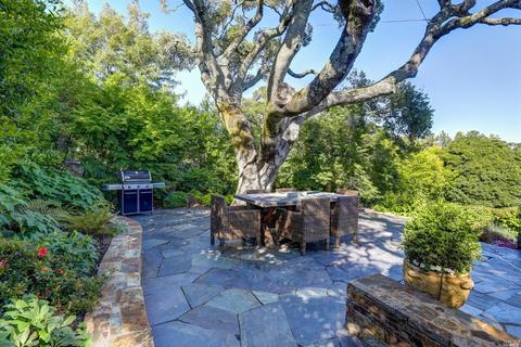 321 Summit Ave, Mill Valley, CA 94941 photo 38