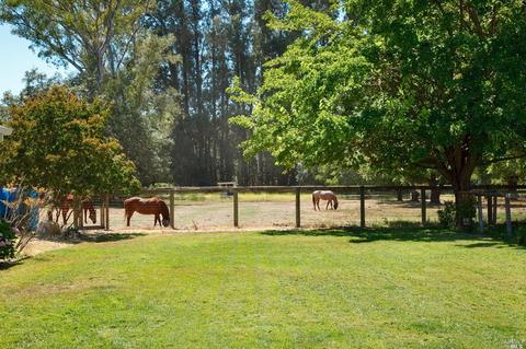 21855 Hyde Rd, Sonoma, CA 95476 photo 43